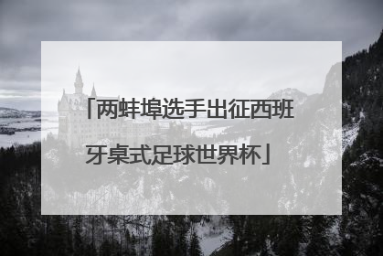 两蚌埠选手出征西班牙桌式足球世界杯